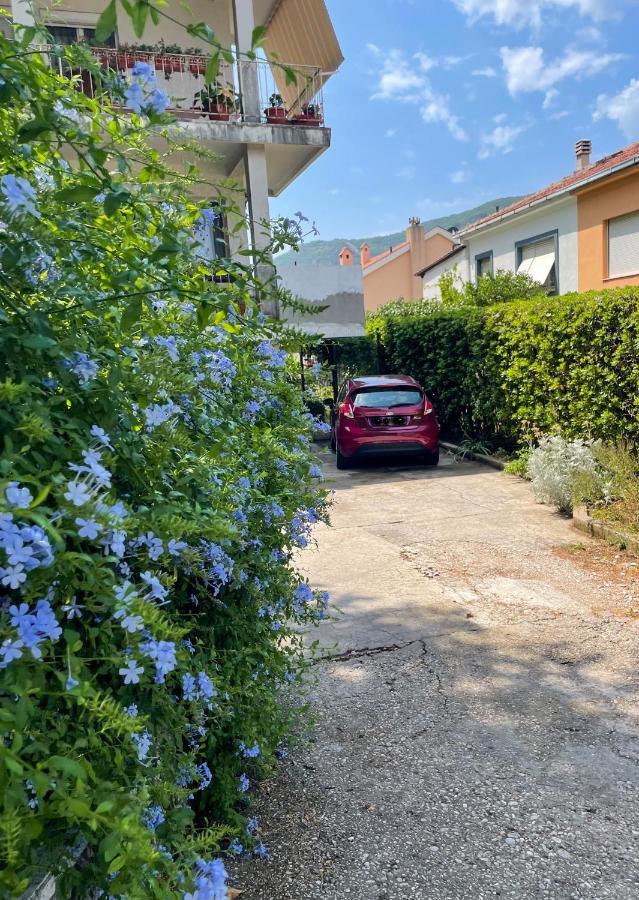 Apartment Garden Kotor Kültér fotó