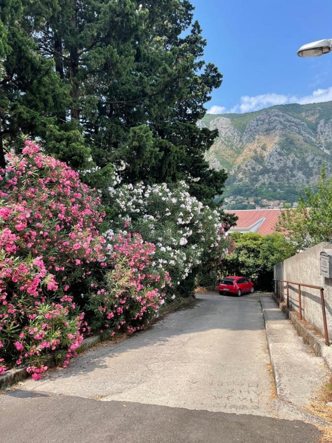 Apartment Garden Kotor Kültér fotó