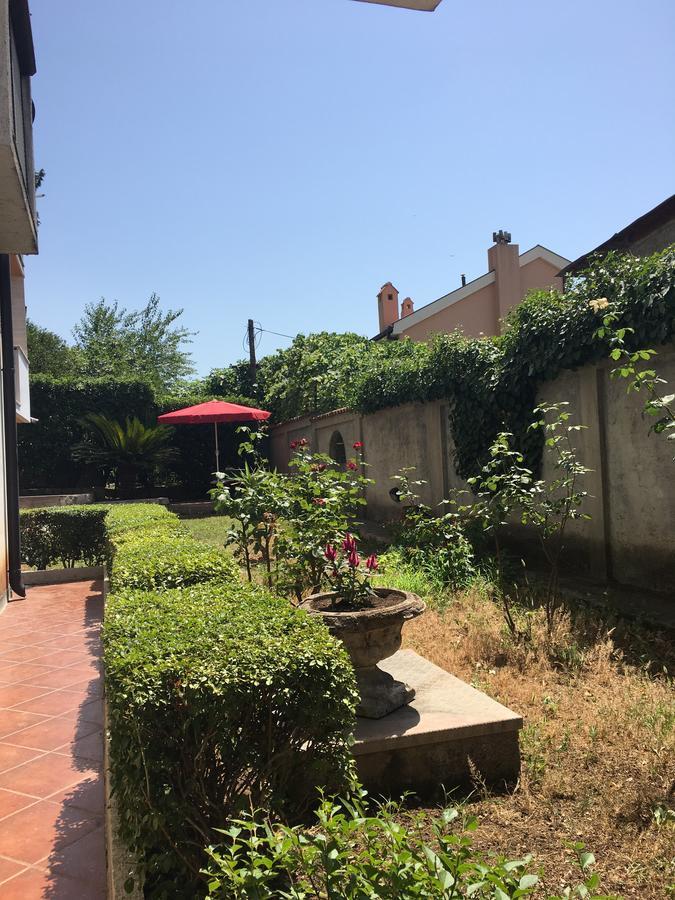 Apartment Garden Kotor Kültér fotó